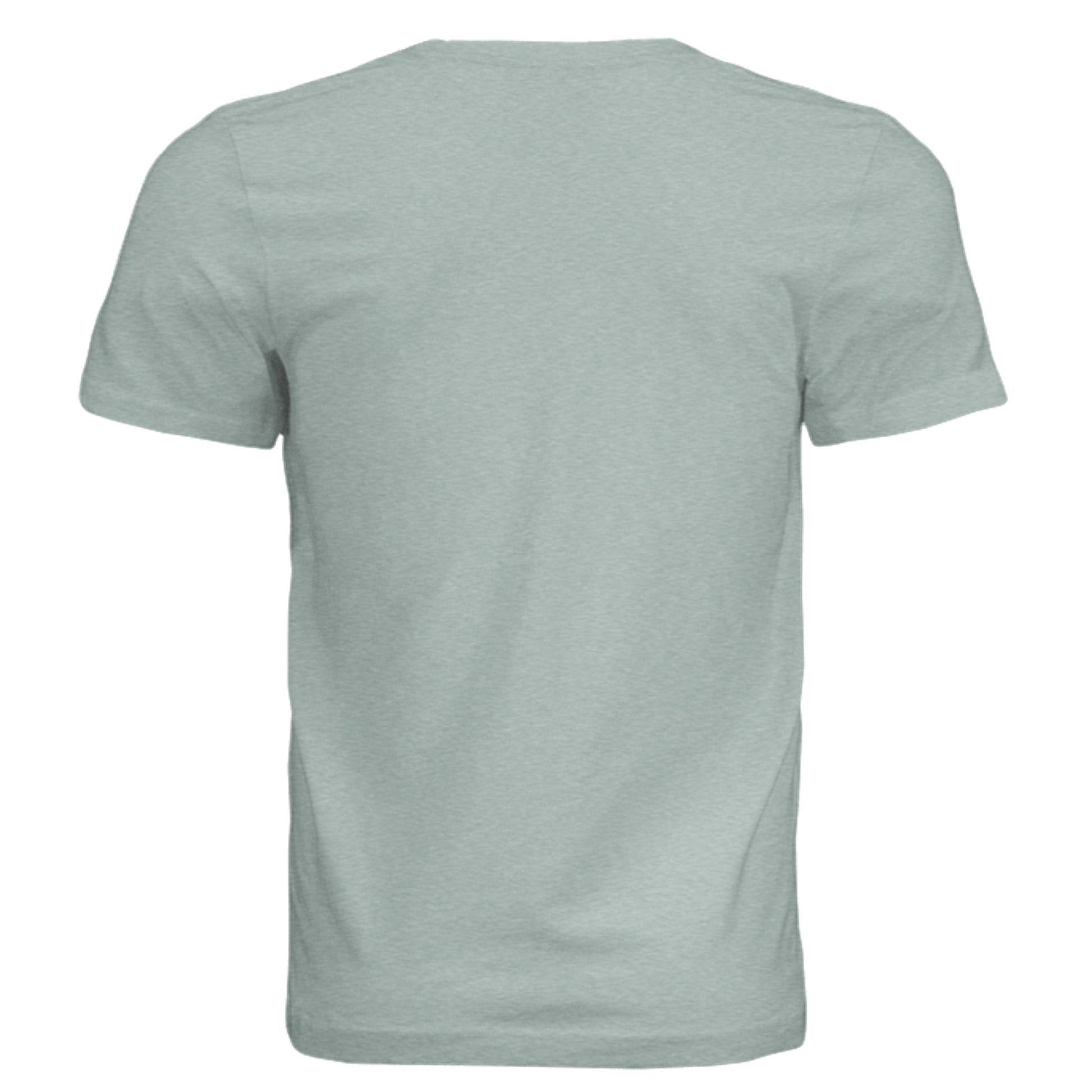Dusty Blue Triblend - 3413C - BACK